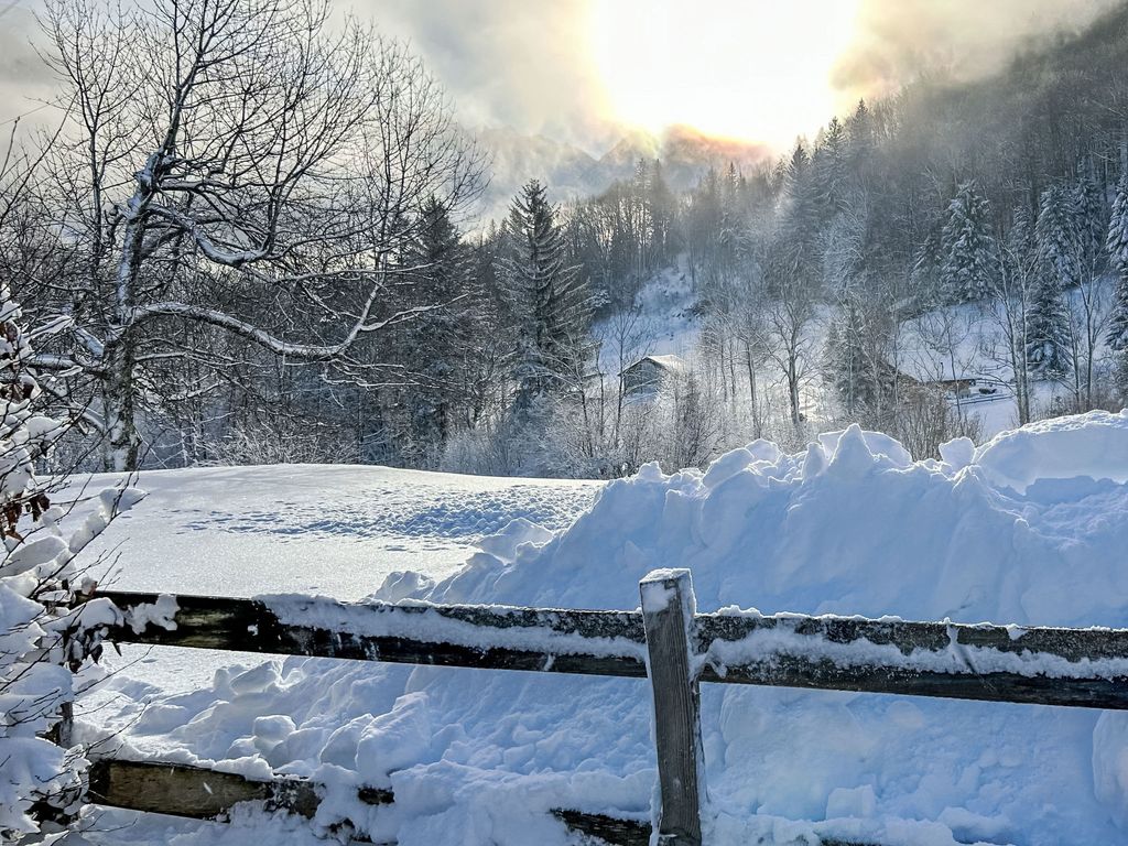 Chalet Solegg