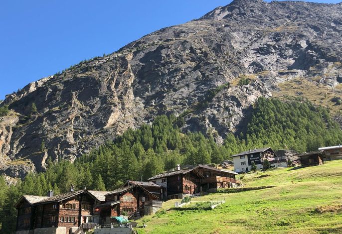Bild 19