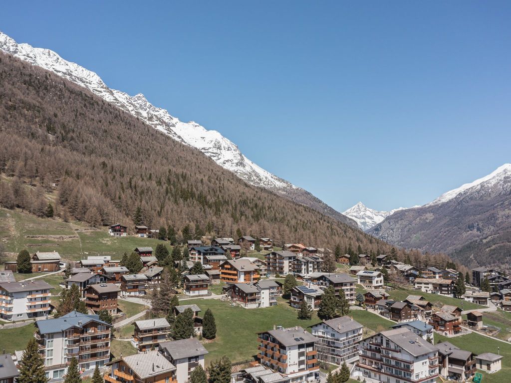 Haus Slalom Appartement/Fewo Apt #6