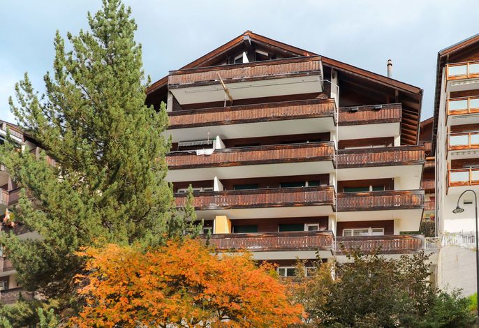 Bild 5
