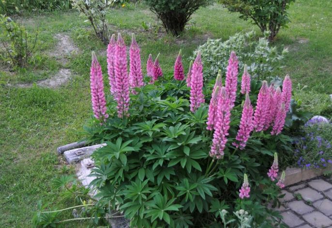 Bild 13