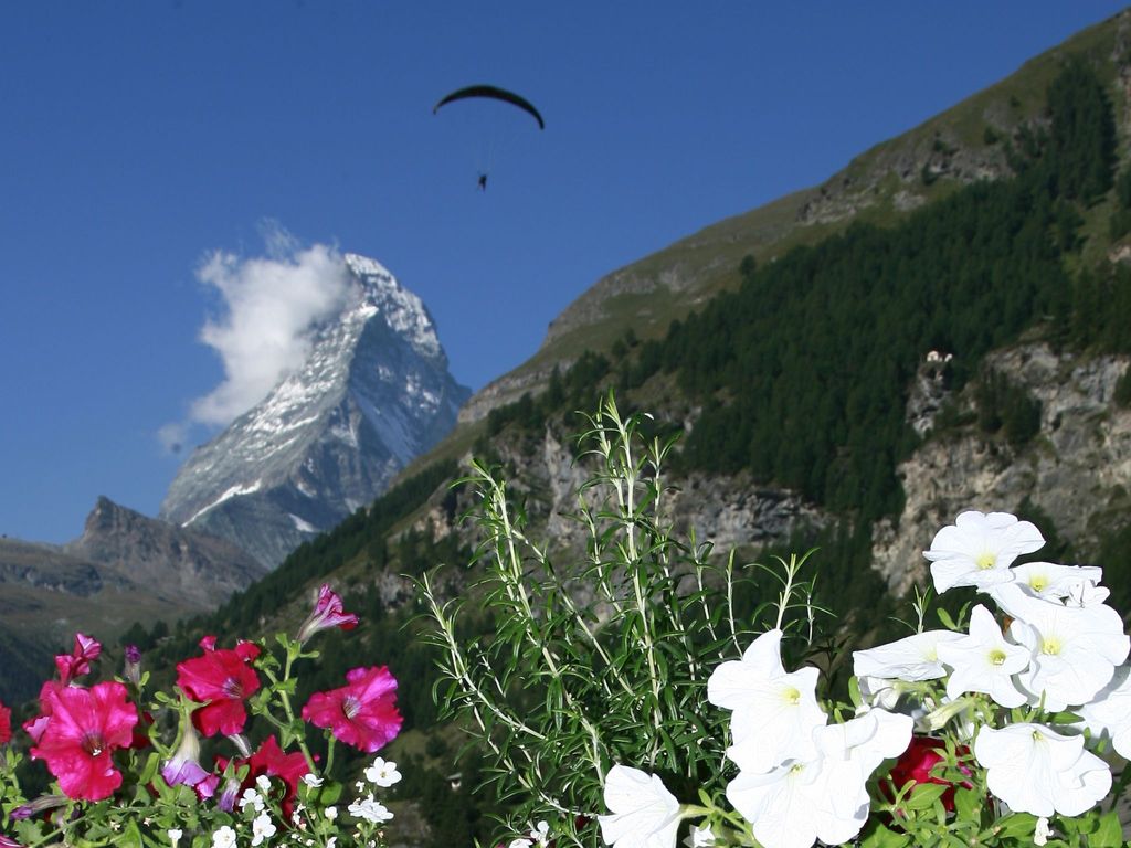 Patricia self-check-in Apartments, (Zermatt),