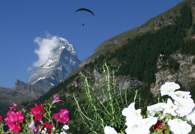 Hauptbild