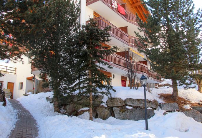 Bild 5