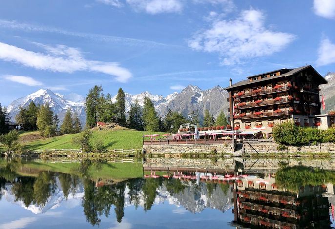 Bild 14