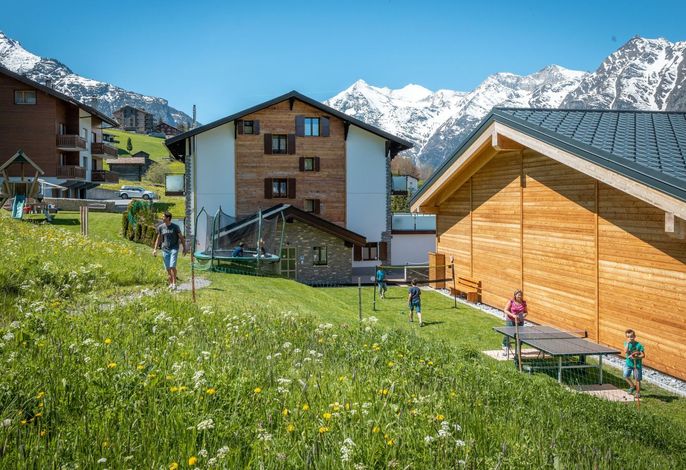 Ferienwohnungen Lunic, AZapartments.ch, B&B, (Grächen), 1057