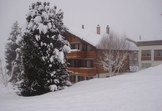 Bild 22