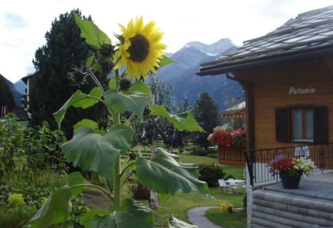Bild 23