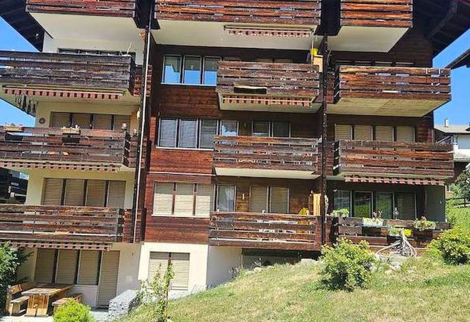 Bild 15