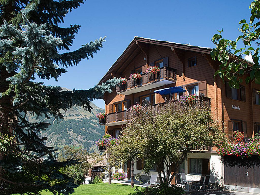 Soldanella, (Grächen),