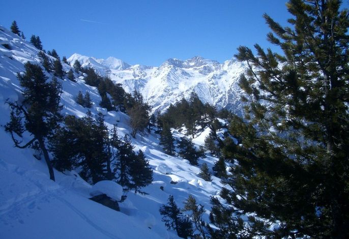 Bild 14
