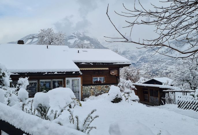 Bild 12