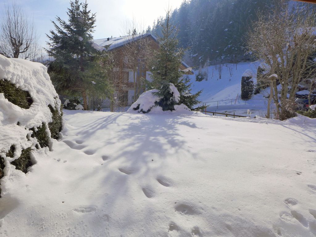 Le Torrent 1