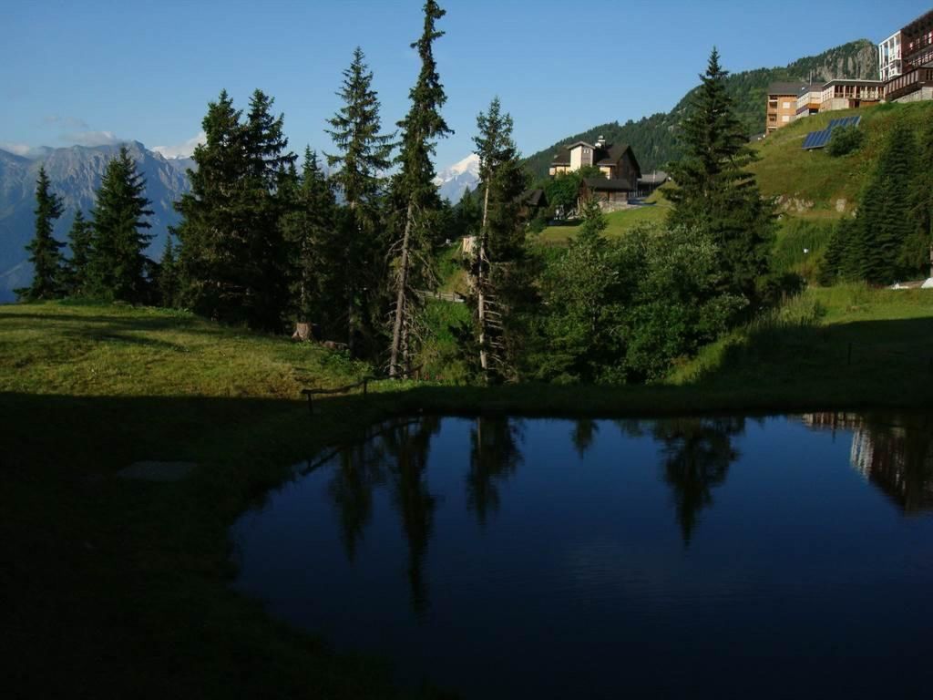 Appartement/Fewo, Dusche oder Bad, WC