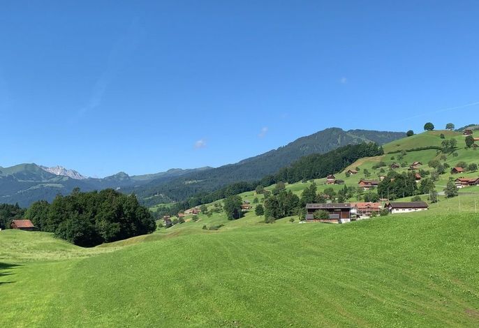 Bild 13