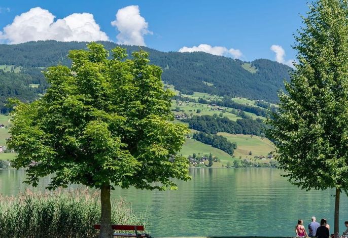 Bild 10