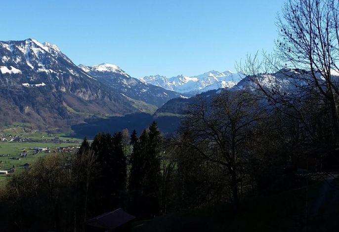 Bild 7
