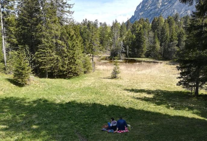 Bild 16