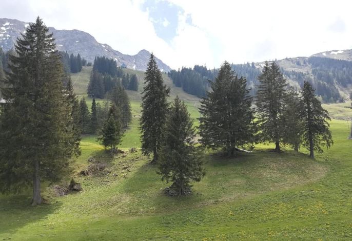 Bild 13