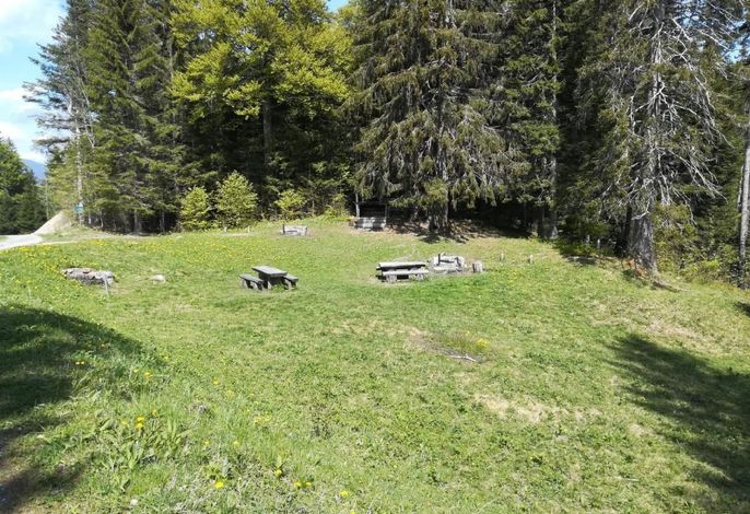 Bild 15