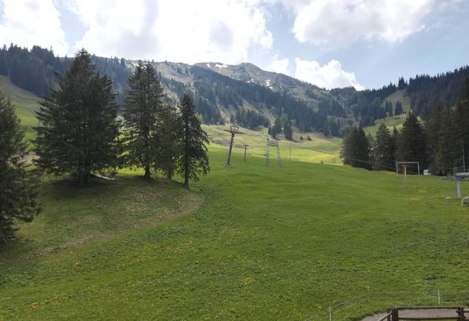 Bild 12