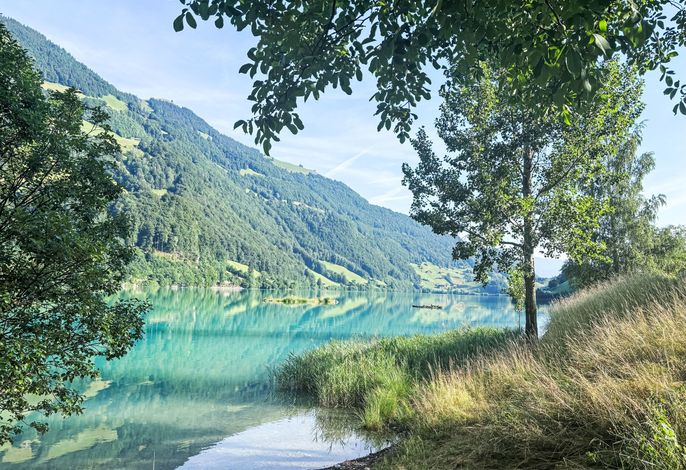 Bild 19