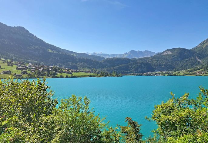 Bild 11