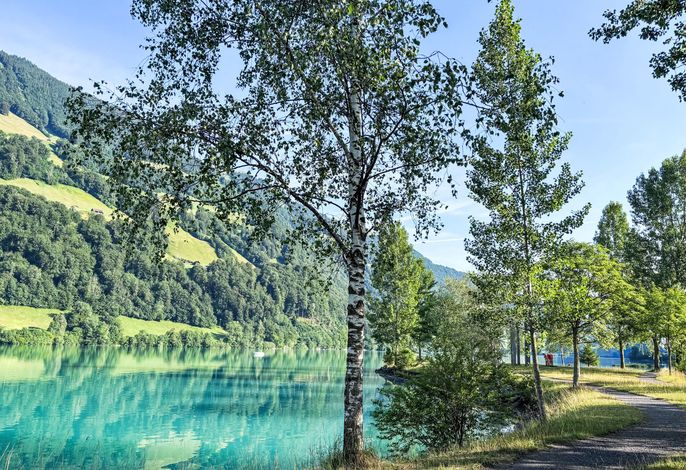 Bild 18
