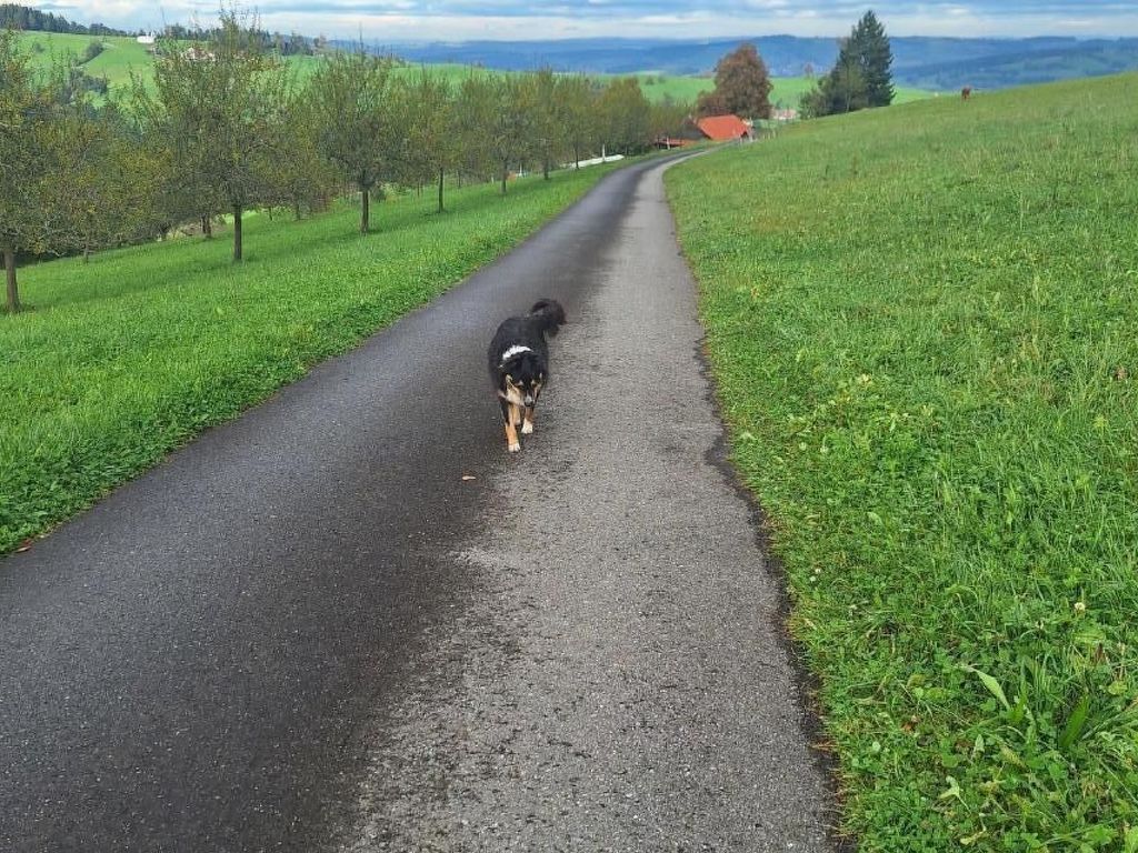 Unter Alpetli