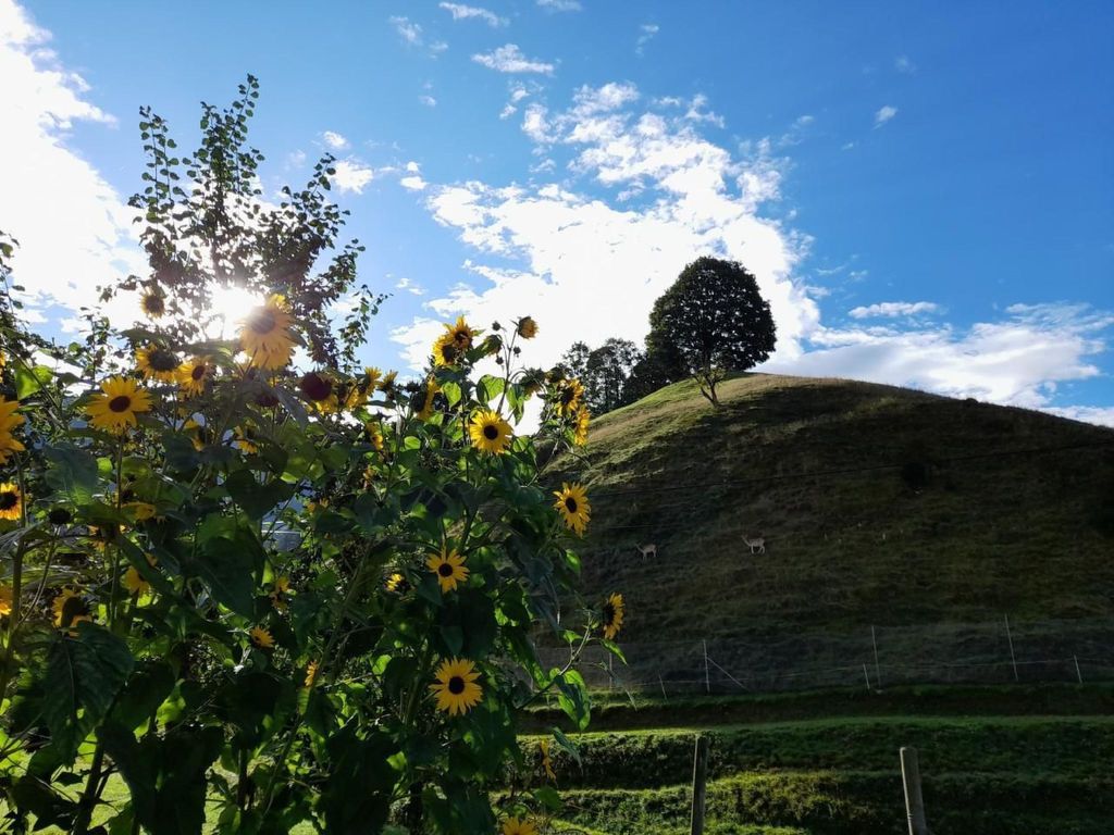 B & B auf dem Bauernhof
