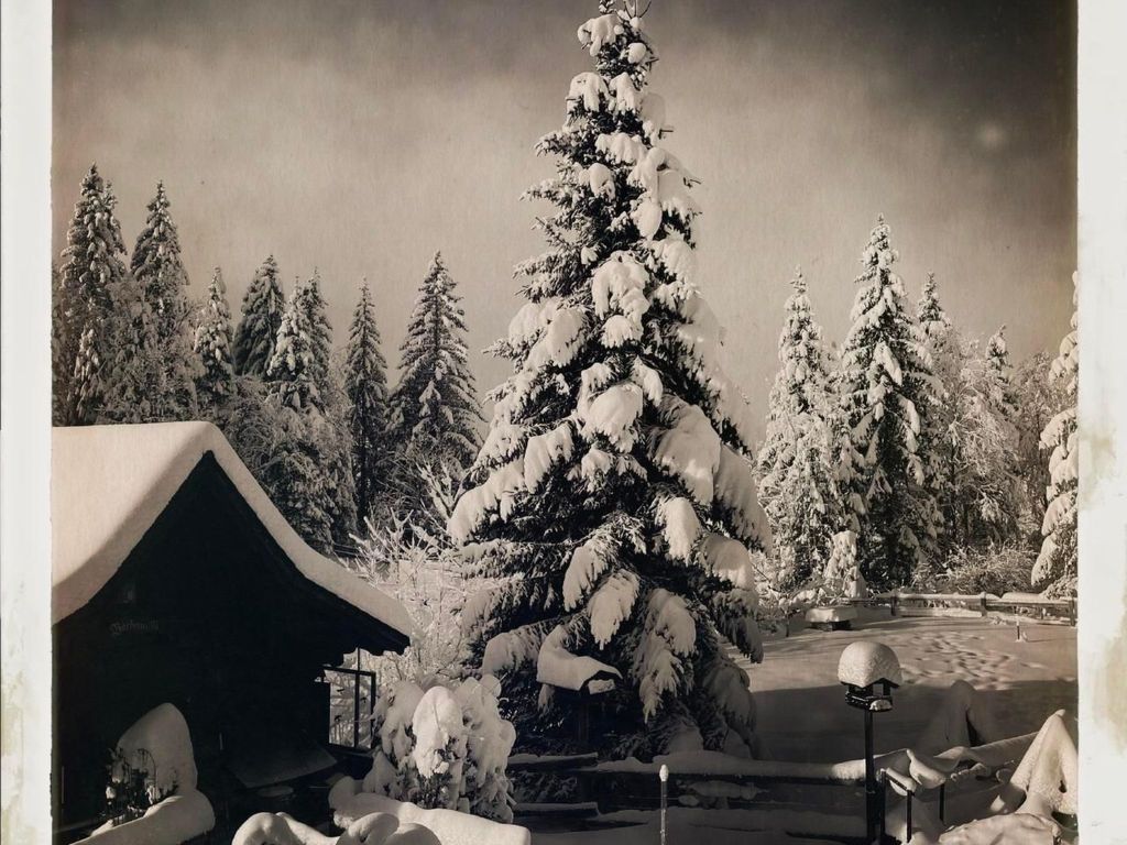 Chalet Rosita