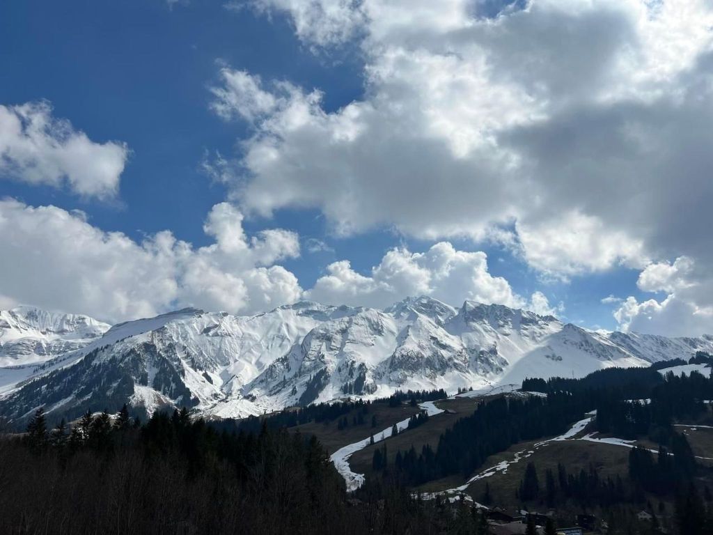 Rothorn-Center C (1. Stock - Glinz)