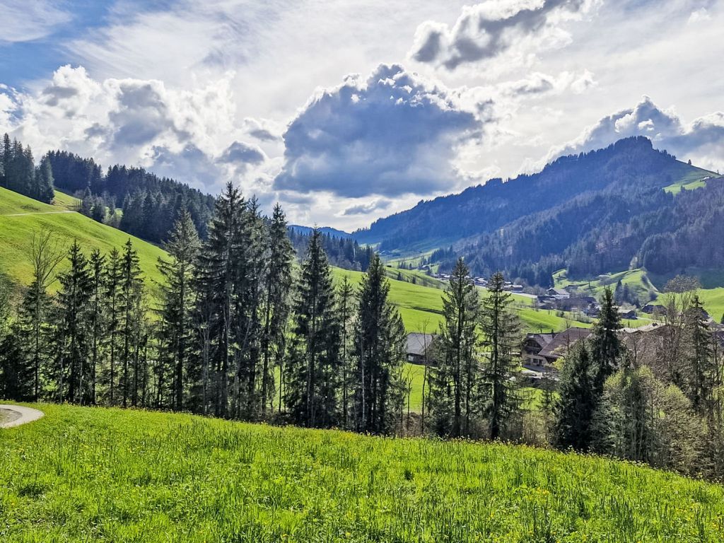 Rüttimätteli