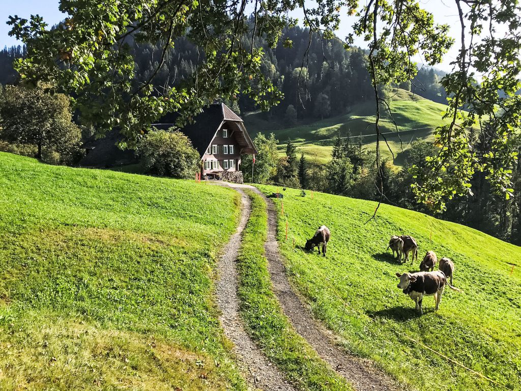 Rüttimätteli