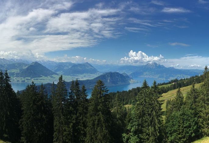 Bild 18