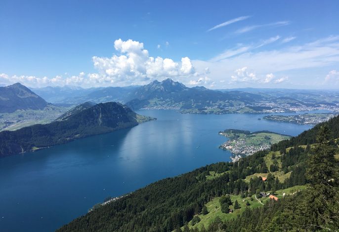 Bild 14