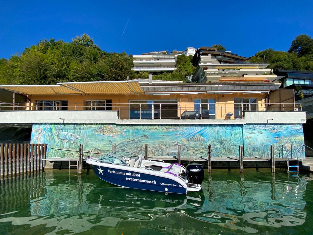 Seestern direkt am See