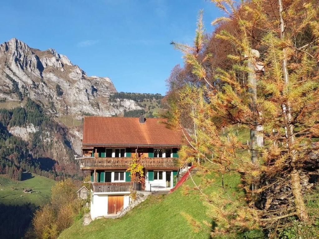 Berg-Traum Engelberg