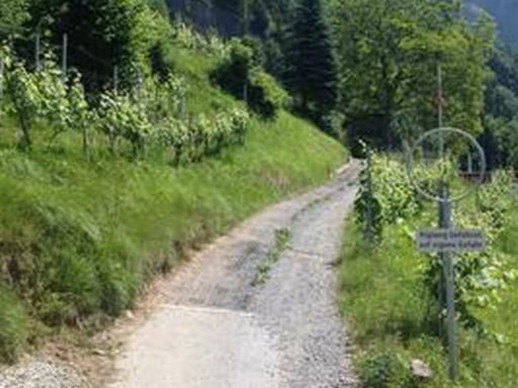 Mätzli