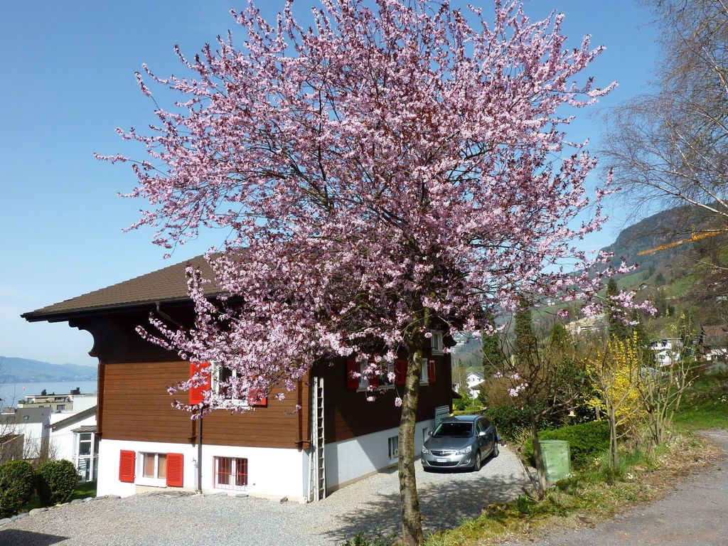Chalet Bärgblick