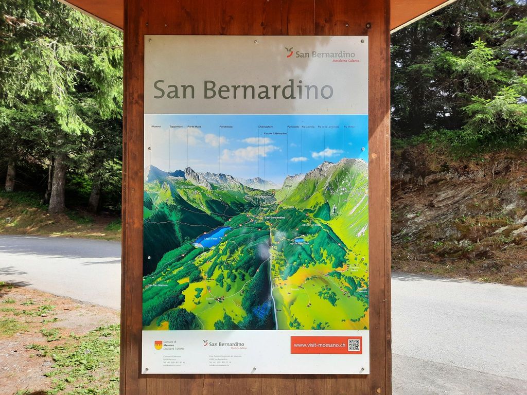 Nido delle Alpi