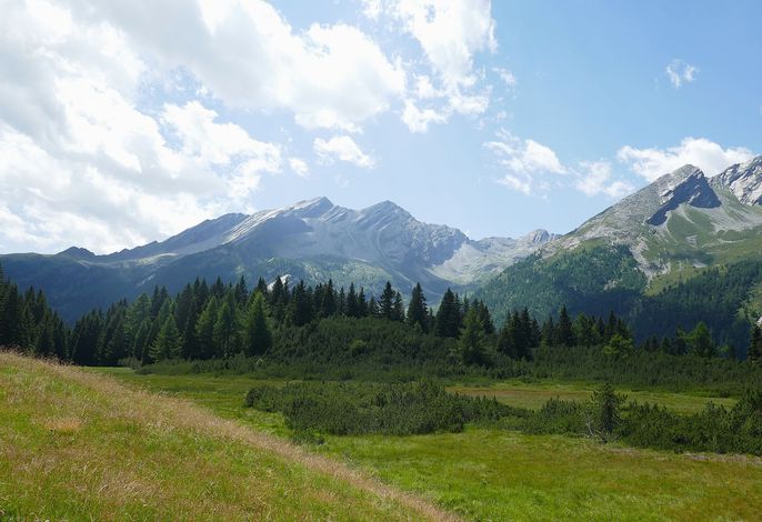 Bild 19