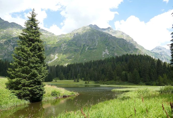 Bild 15