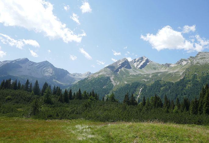 Bild 14
