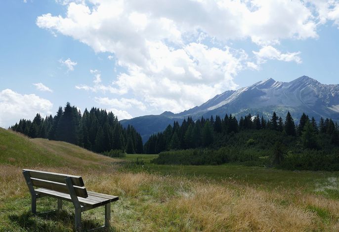 Bild 18