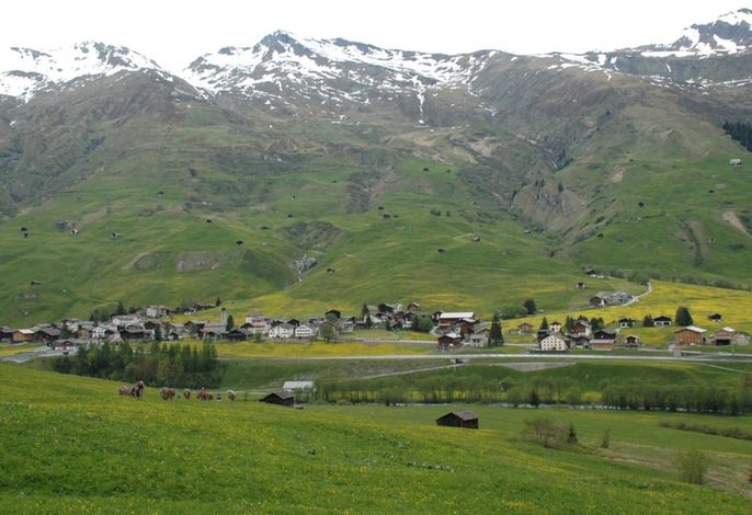 Bild 5