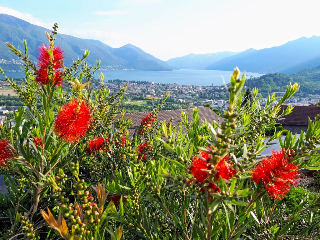 Vista Panorama