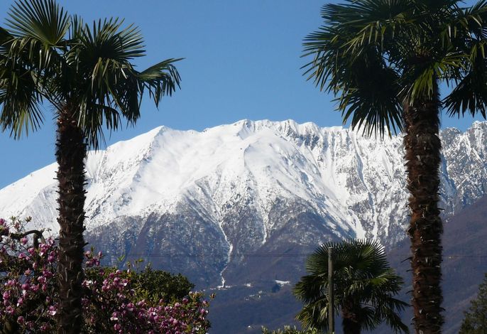 Bild 12