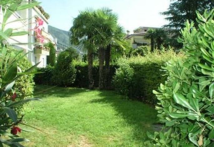 Bild 7