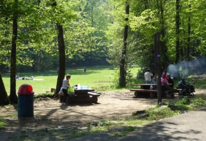 Bild 15